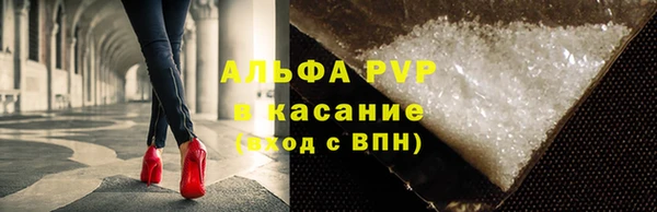 стаф Кулебаки