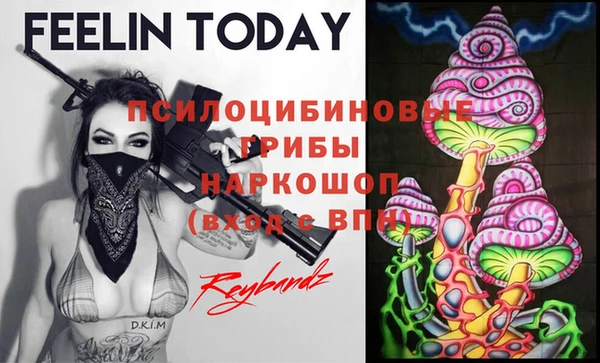 мяу мяу мука Кукмор
