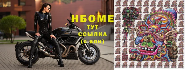 стаф Кулебаки