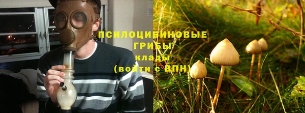 прущие грибы Куйбышев