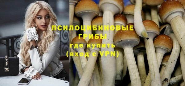 стаф Кулебаки