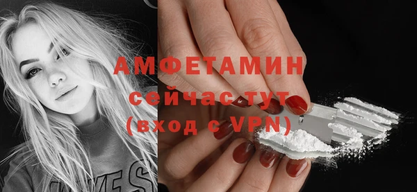 прущие грибы Куйбышев