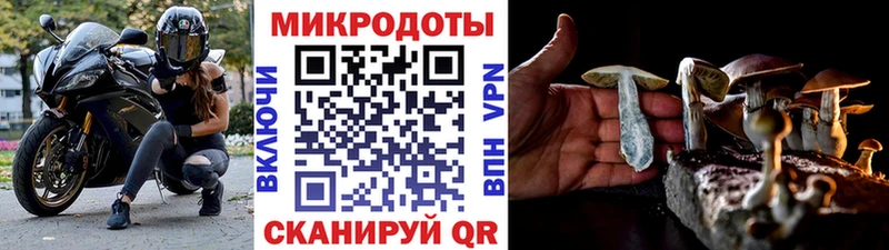 Галлюциногенные грибы GOLDEN TEACHER Киселёвск