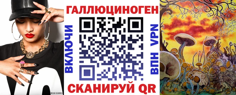 Купить где  Киселёвск  Галлюциногенные грибы Magic Shrooms 